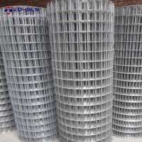 Low Price Welded Mesh Type and Fence Mesh Application galvanized welded wire mesh panel